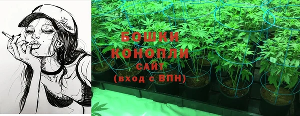 гидропоника Абаза