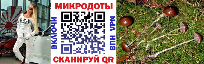 Галлюциногенные грибы мицелий  купить   Касимов 